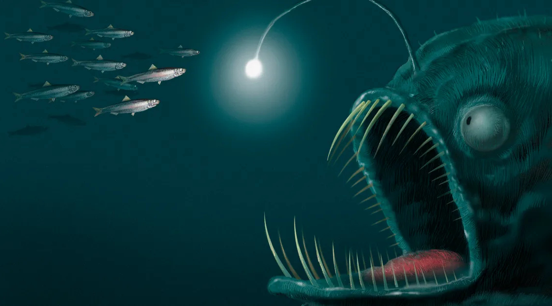 Image for Adeus às buscas na internet