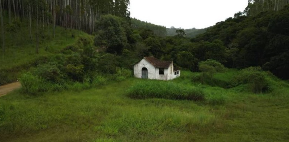 Image for Quando o “verde” volta-se contra os povos tradicionais