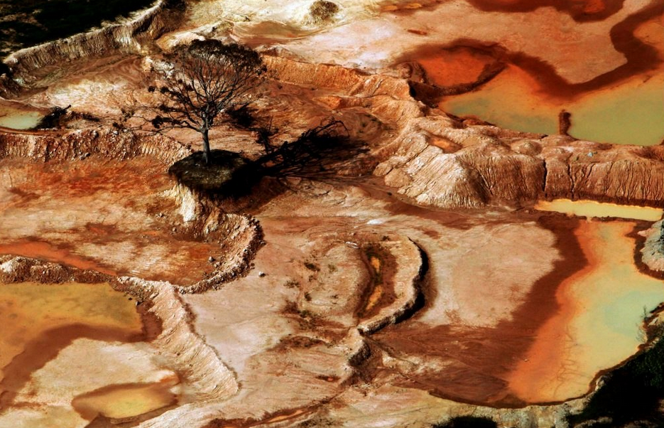 Eleições: ainda é possível salvar a Amazônia?